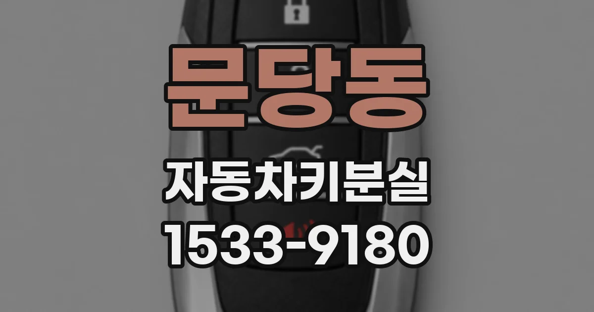 문당동 자동차키분실