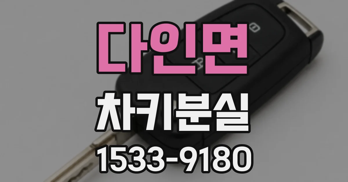 다인면 차키분실