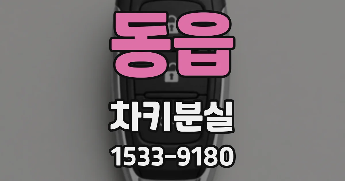 동읍 차키분실