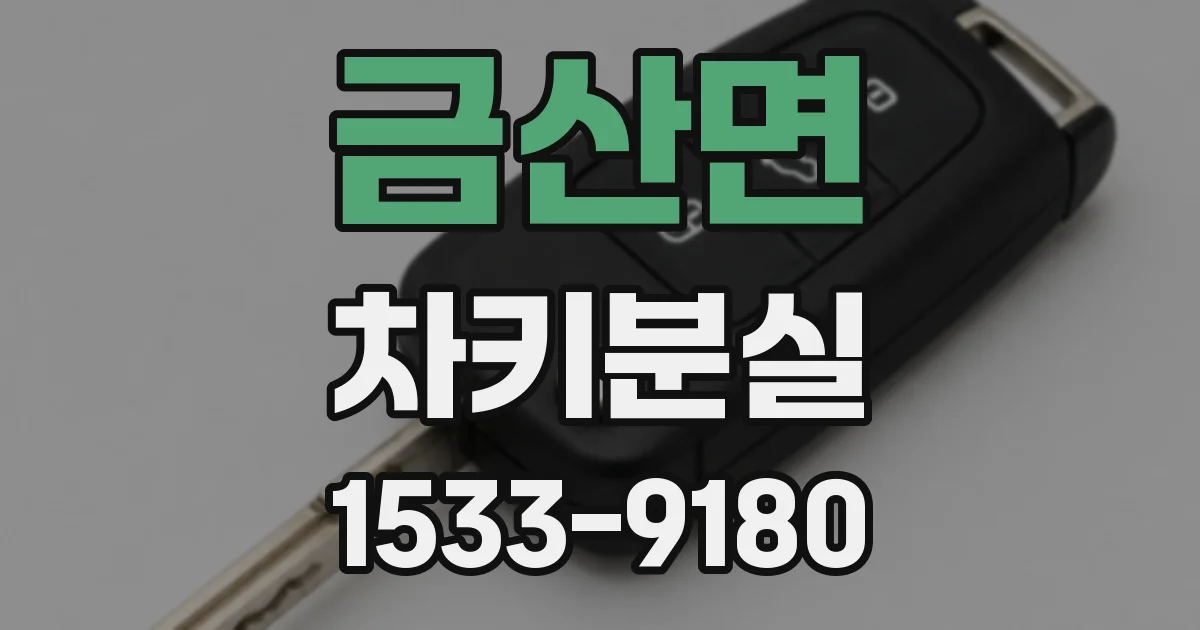 금산면 차키분실