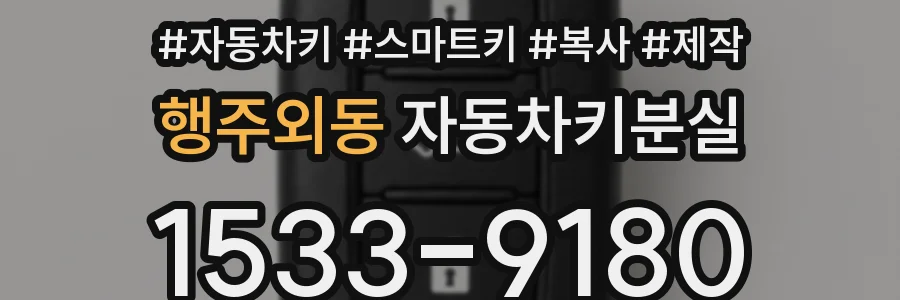 행주외동 자동차키분실