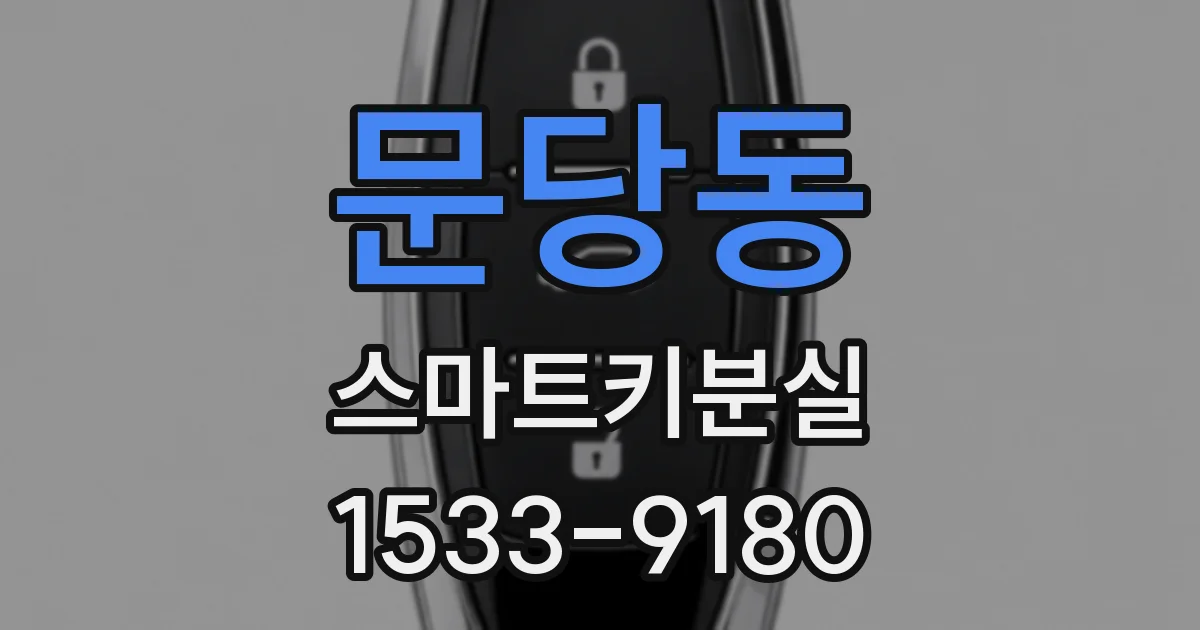 문당동 스마트키분실