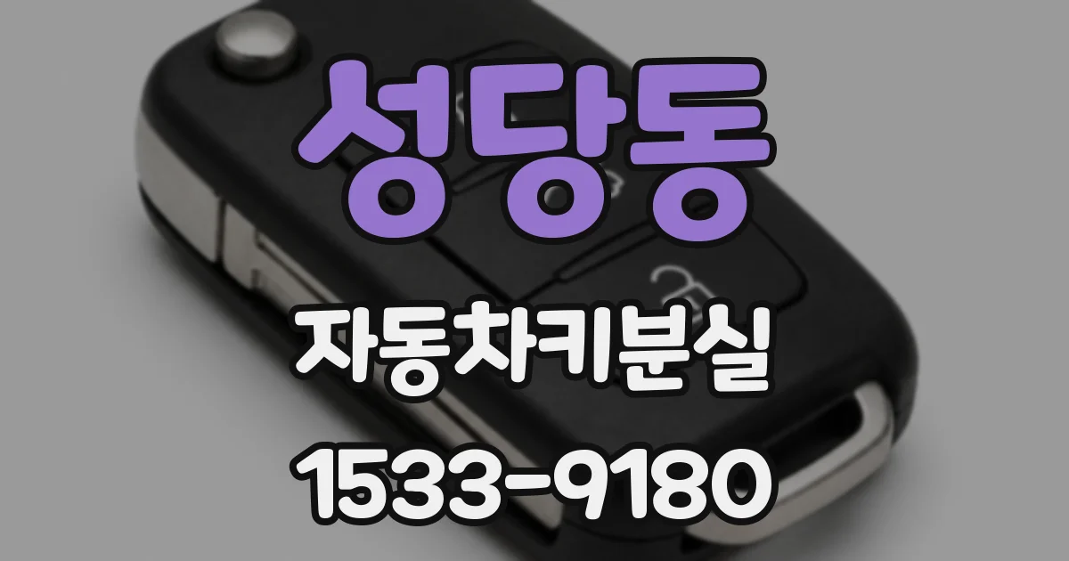 성당동 자동차키분실