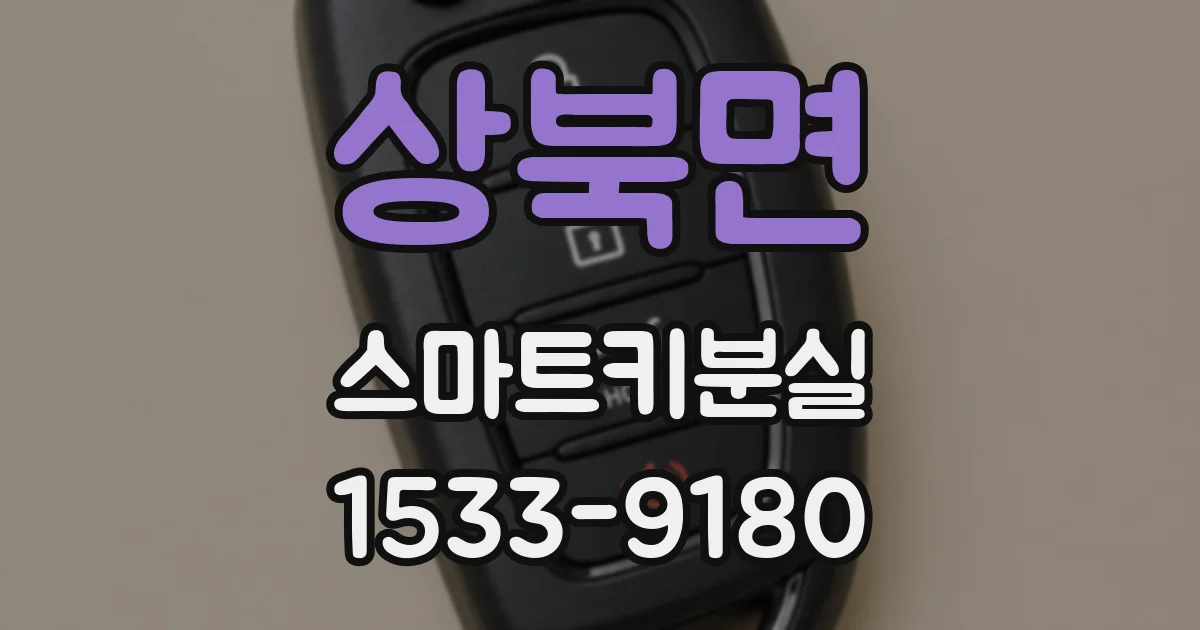 상북면 스마트키분실