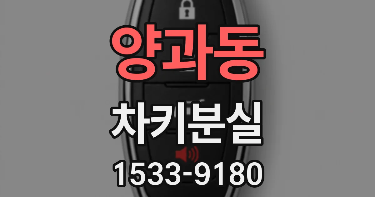 양과동 차키분실