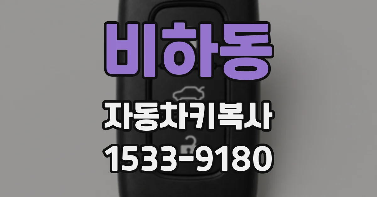 비하동 자동차키복사