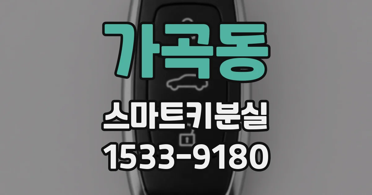 가곡동 스마트키분실