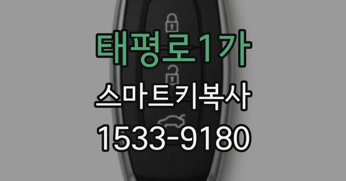 태평로1가 스마트키복사