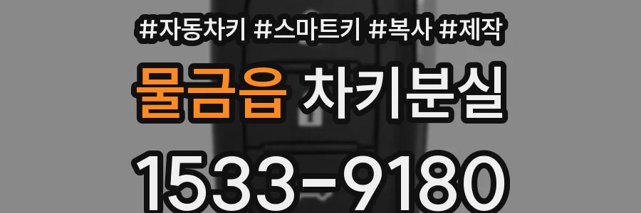 물금읍 차키분실