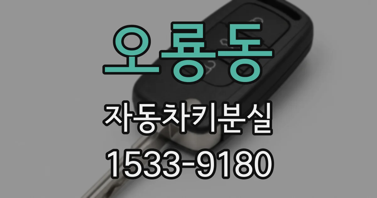 오룡동 자동차키분실