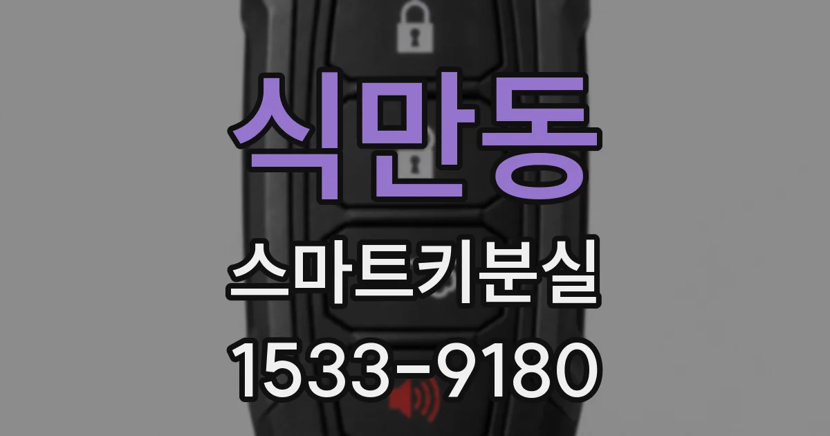 식만동 스마트키분실