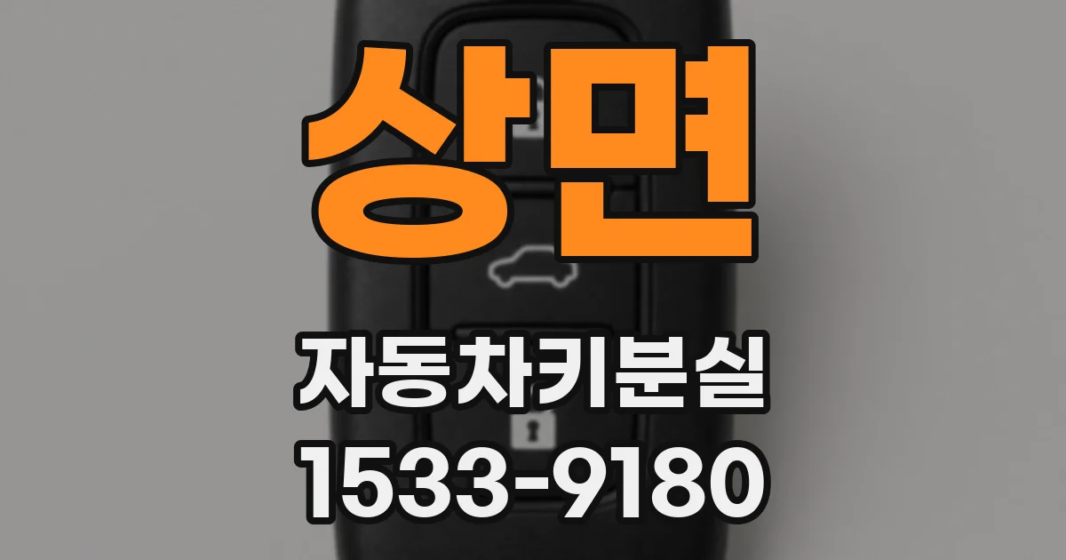 상면 자동차키분실