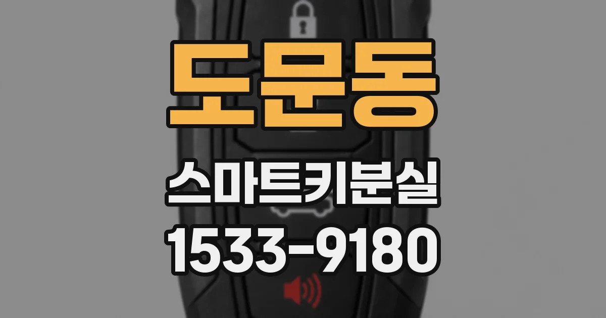 도문동 스마트키분실