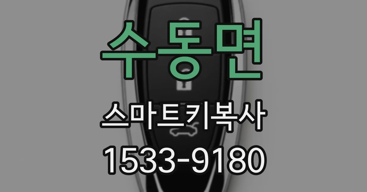 수동면 스마트키복사