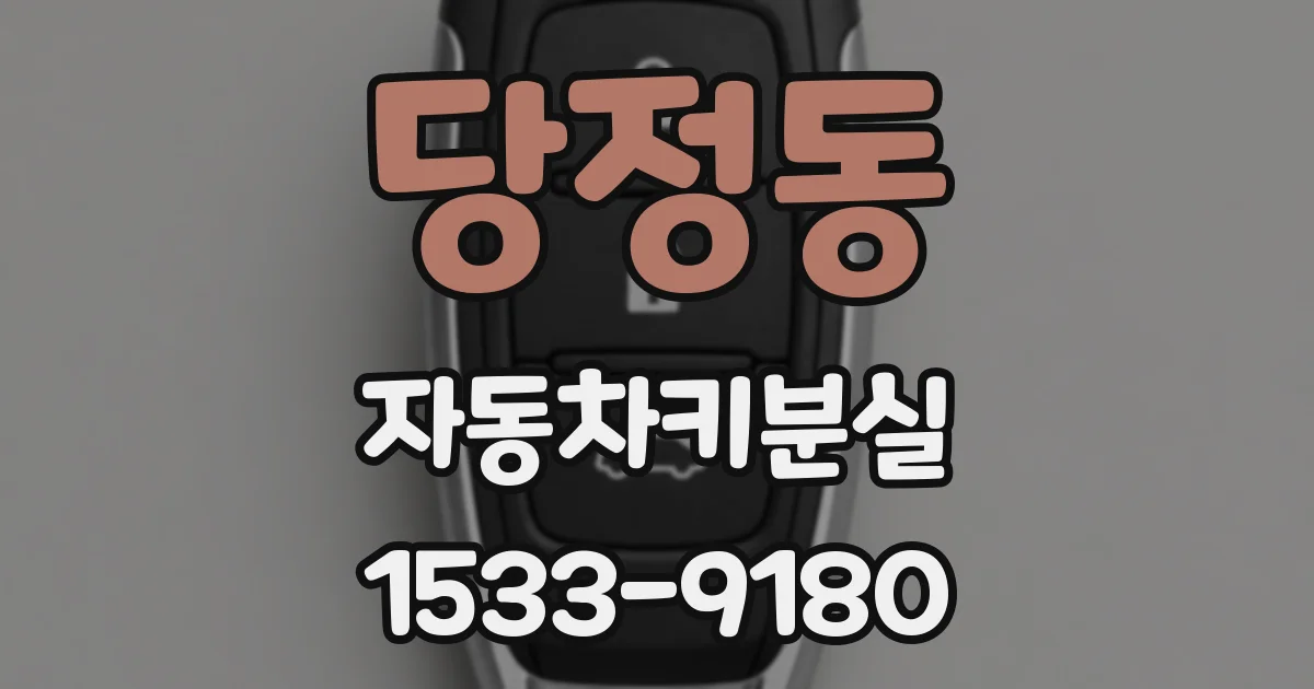 당정동 자동차키분실