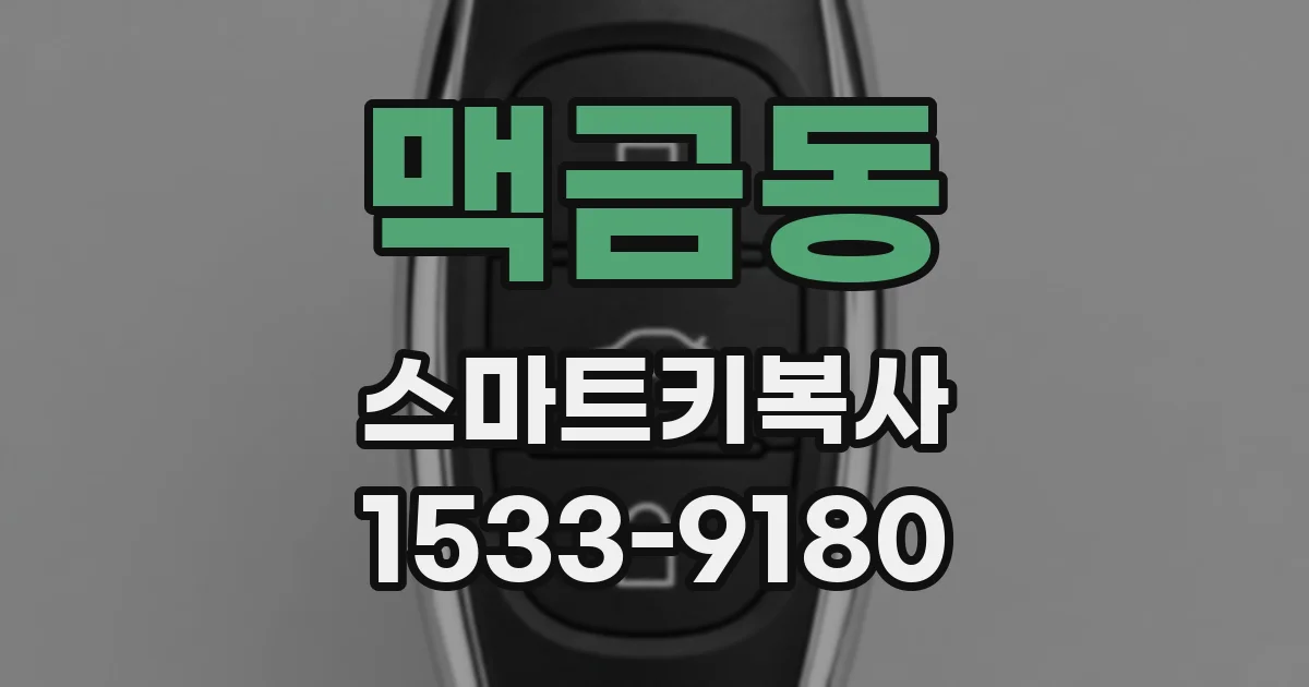 맥금동 스마트키복사
