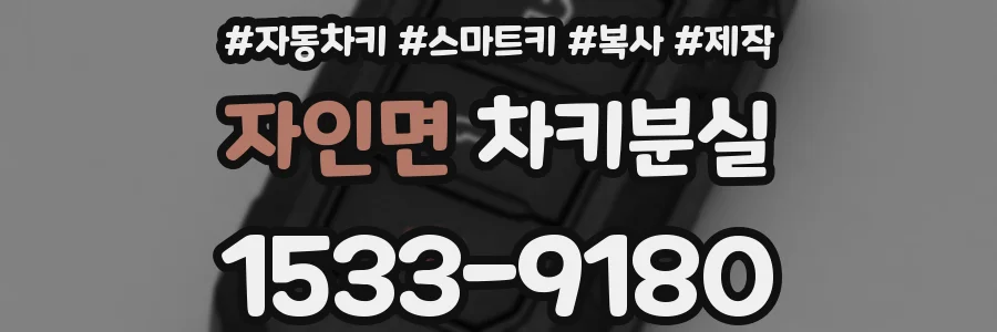 자인면 차키분실