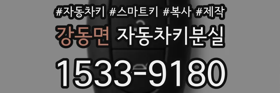 강동면 자동차키분실