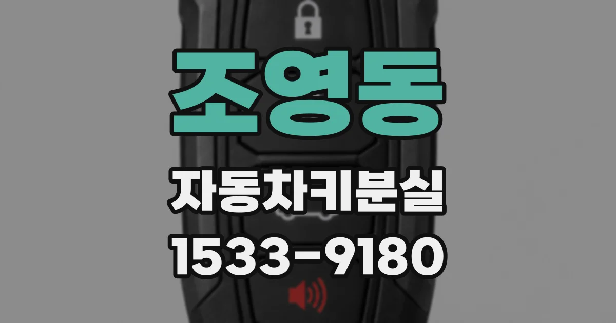 조영동 자동차키분실