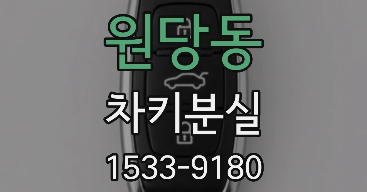 원당동 차키분실