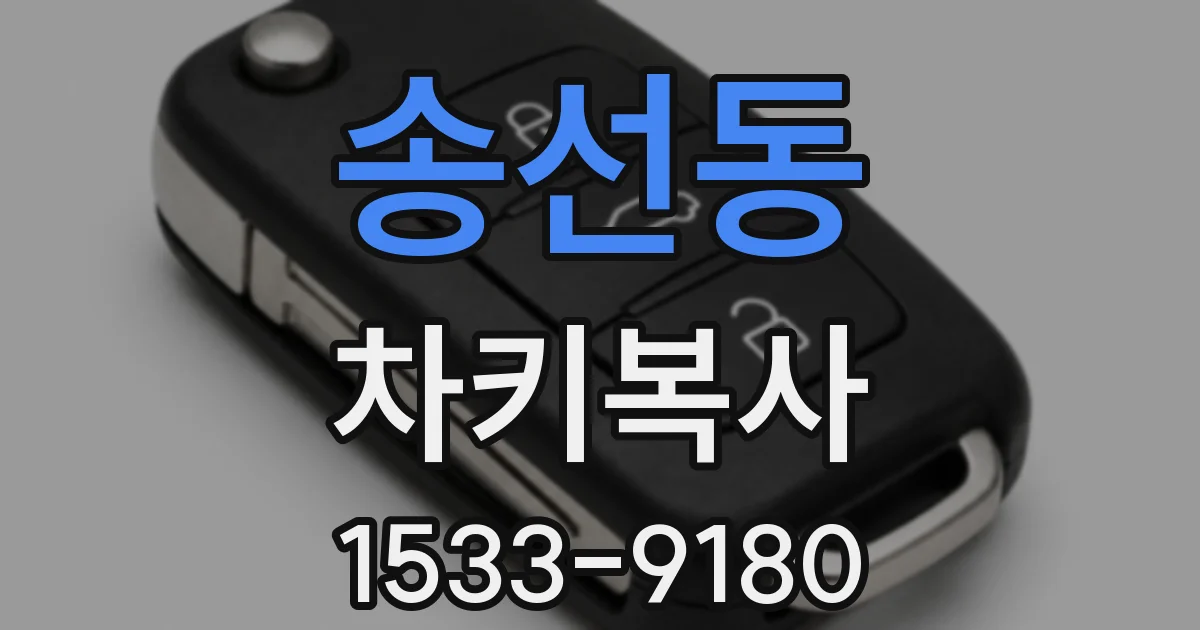 송선동 차키복사