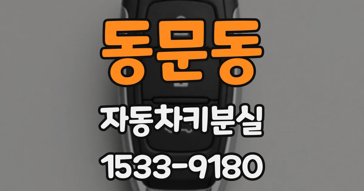동문동 자동차키분실