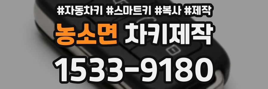 농소면 차키제작