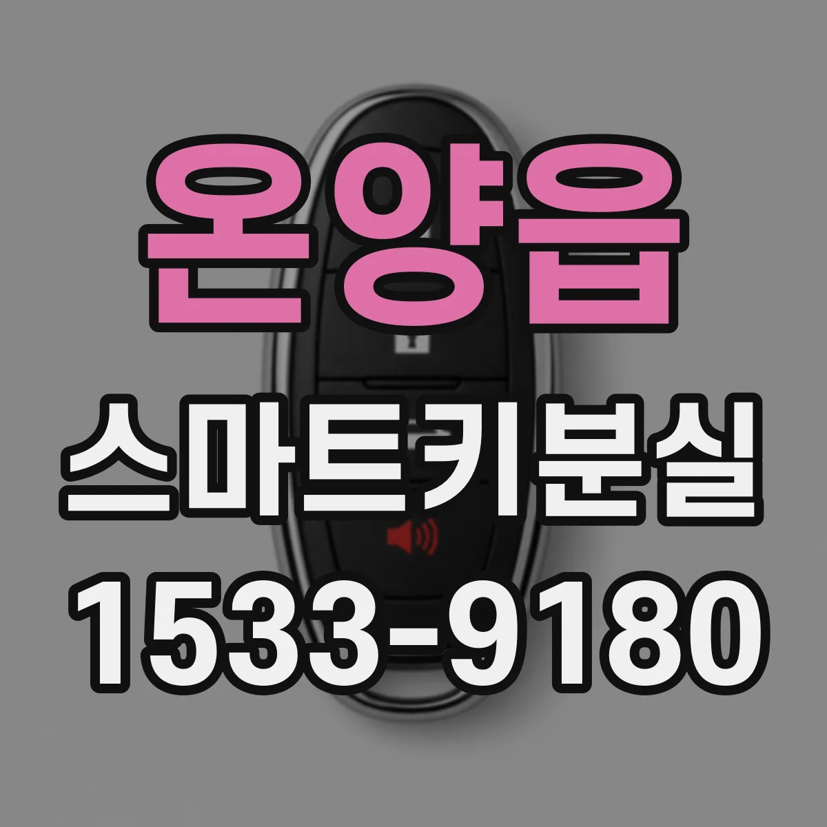 온양읍 스마트키분실