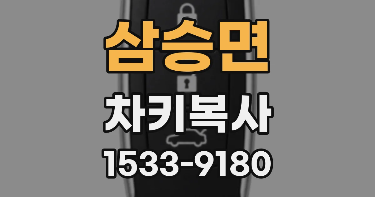 삼승면 차키복사