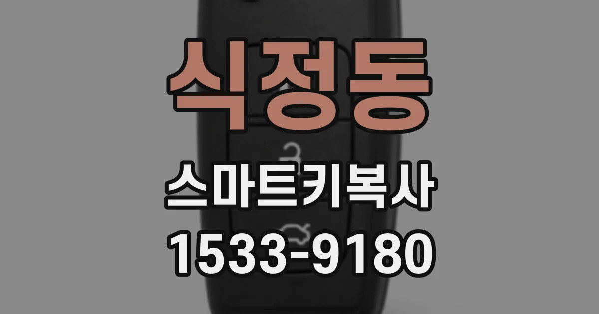식정동 스마트키복사
