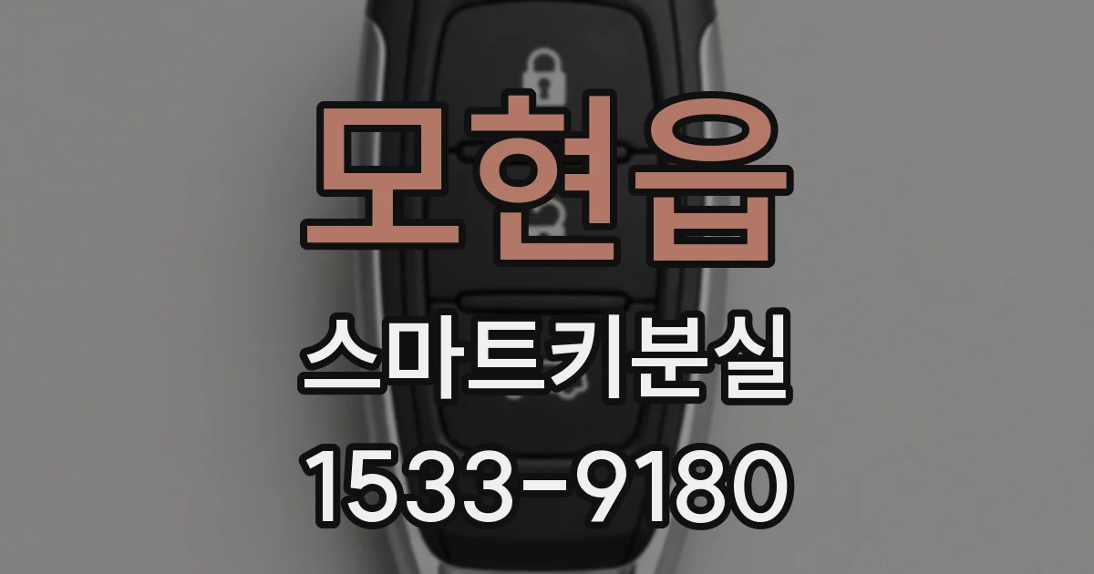 모현읍 스마트키분실
