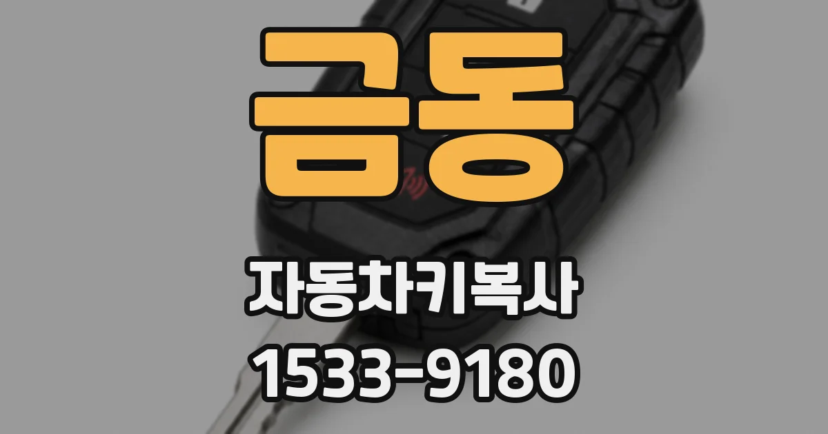 금동 자동차키복사
