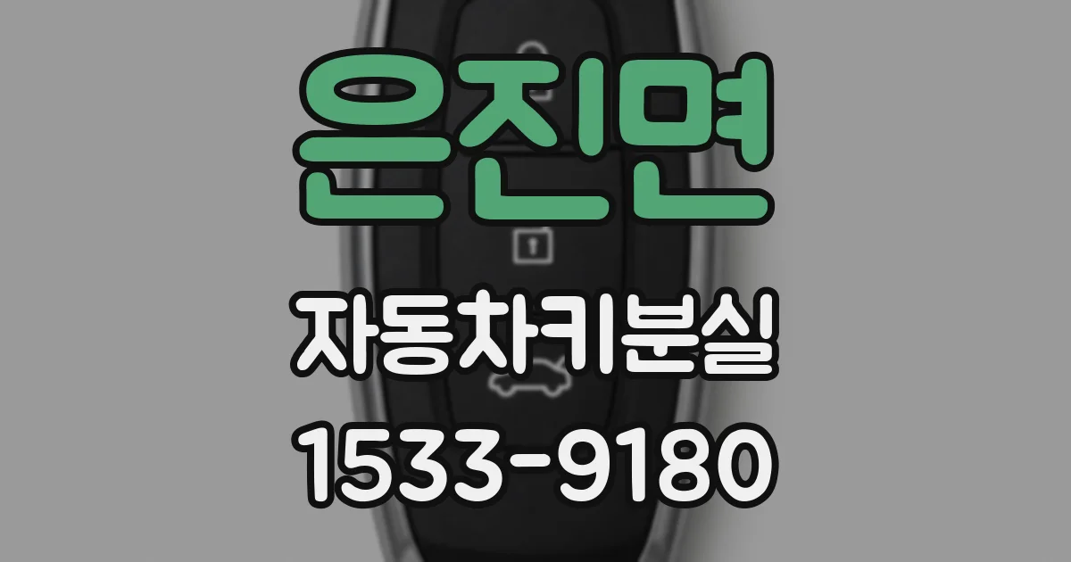 은진면 자동차키분실