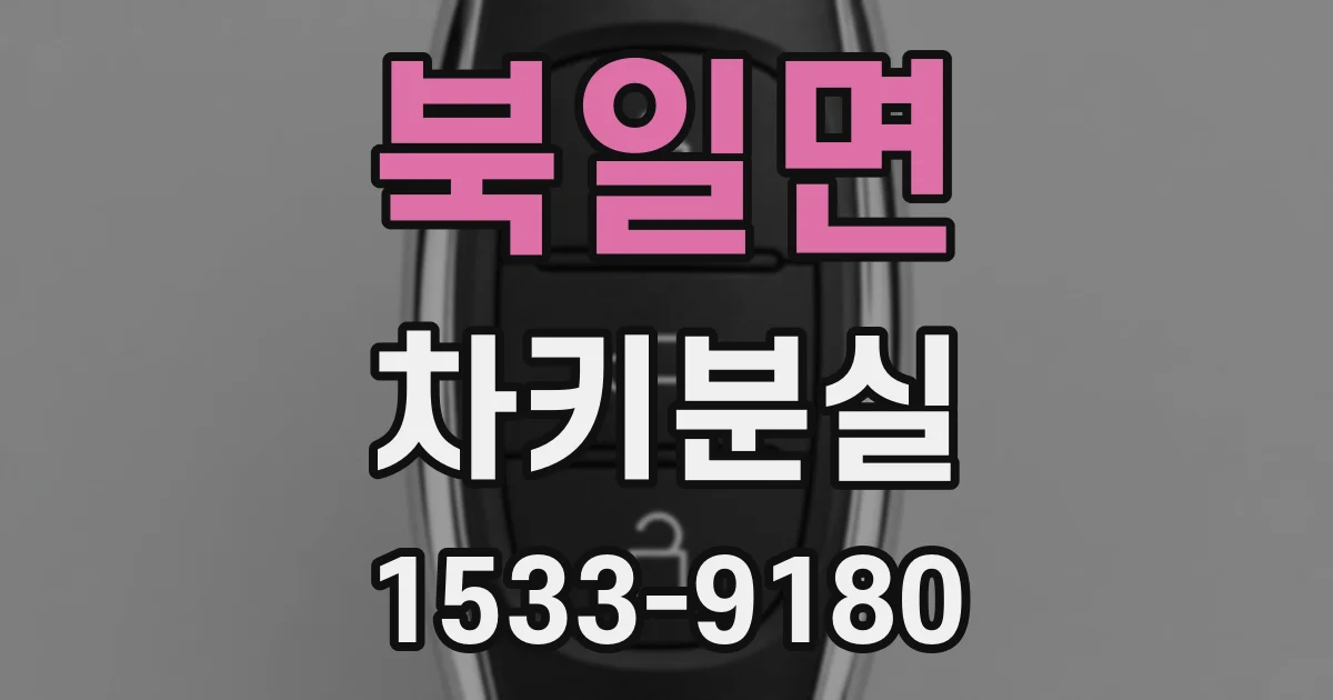 북일면 차키분실