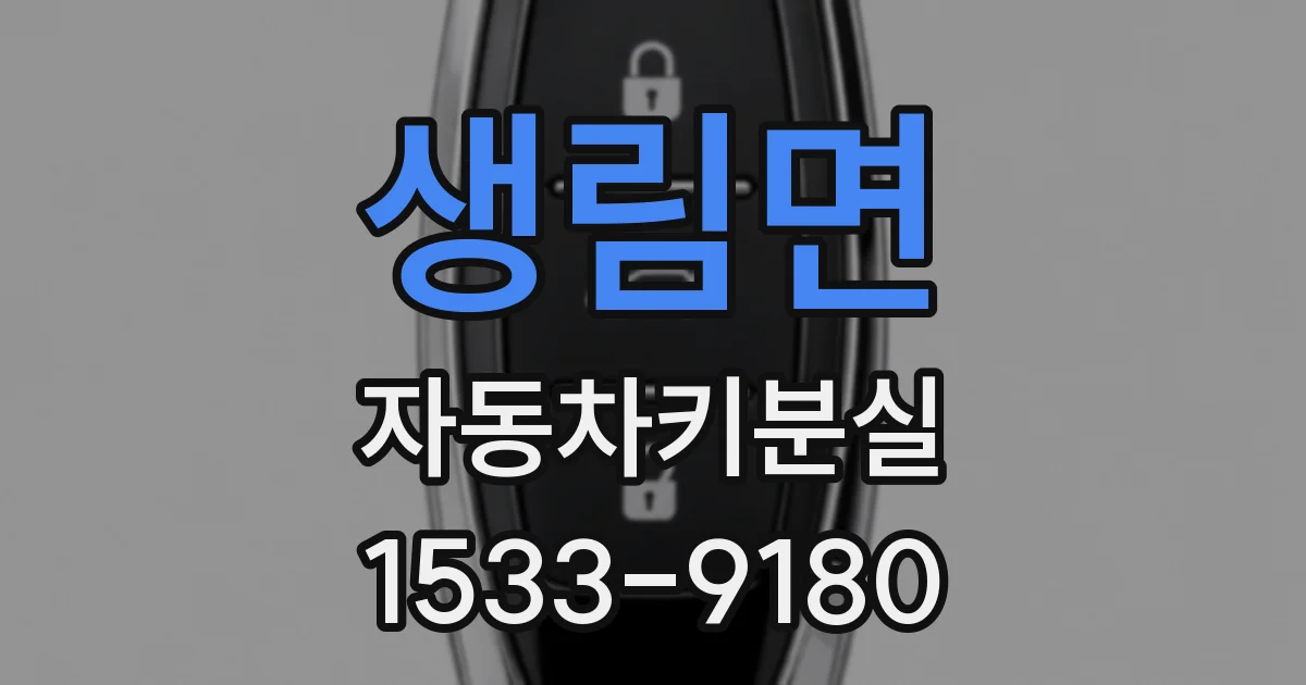 생림면 자동차키분실