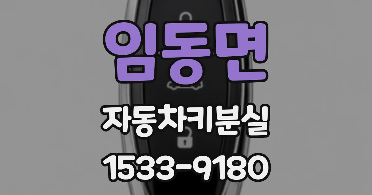 임동면 자동차키분실