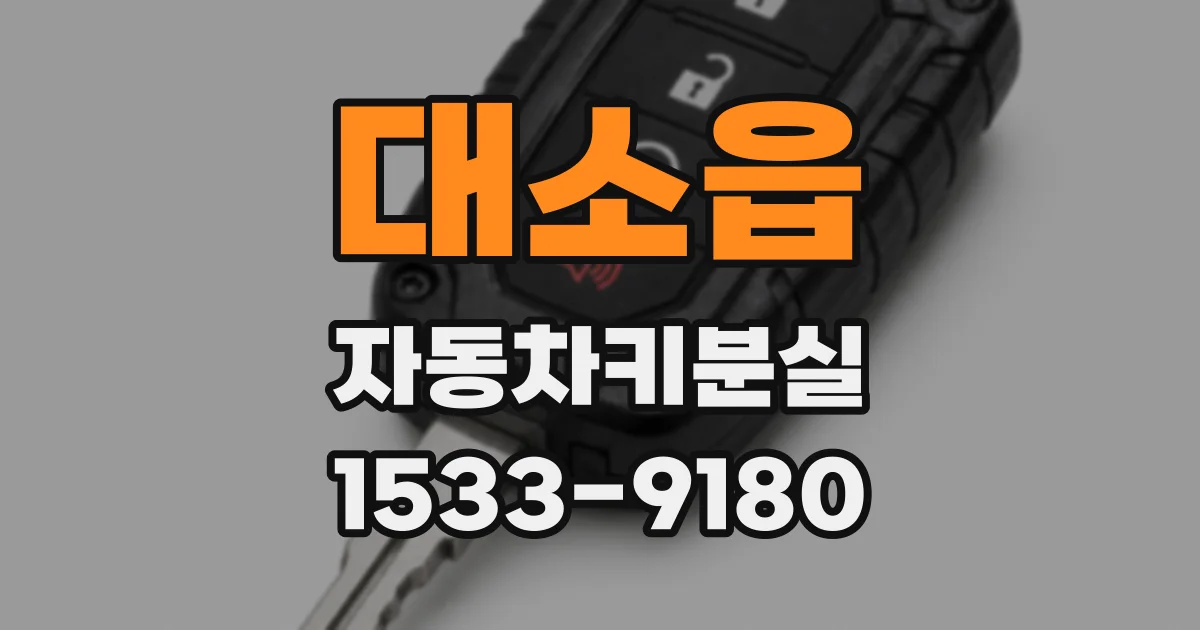대소읍 자동차키분실