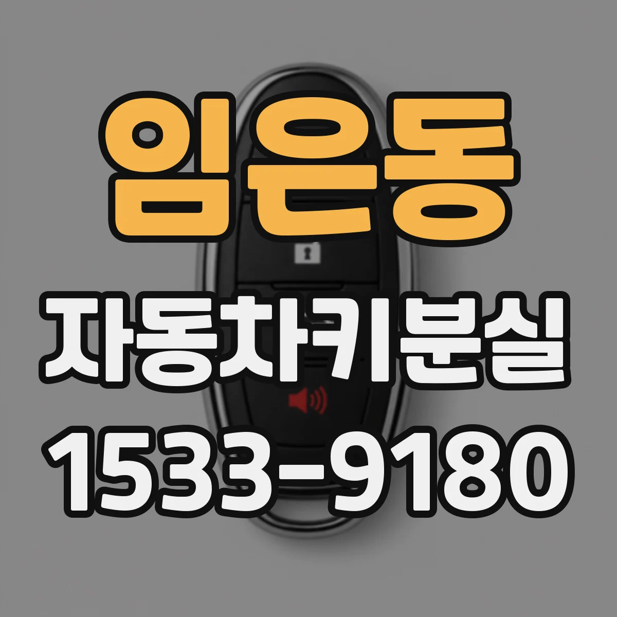 임은동 자동차키분실