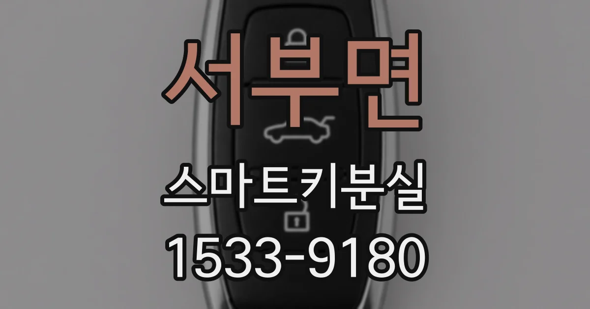 서부면 스마트키분실