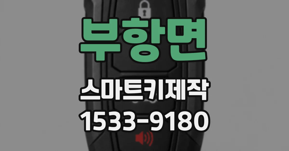 부항면 스마트키제작