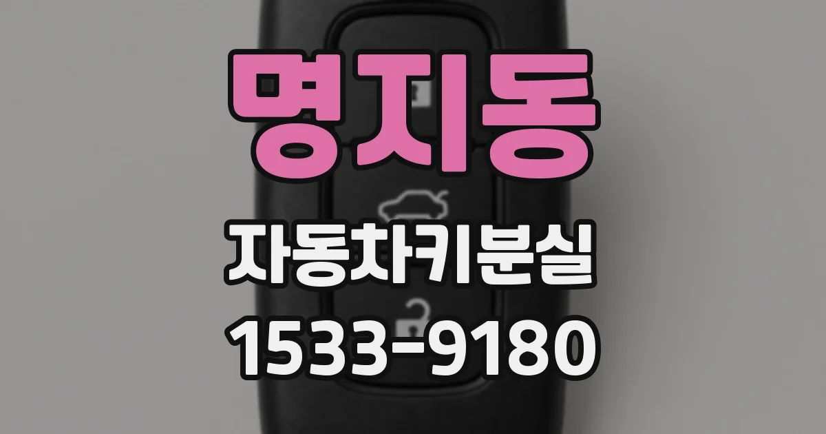 명지동 자동차키분실