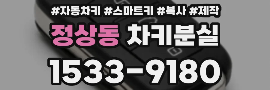 정상동 차키분실