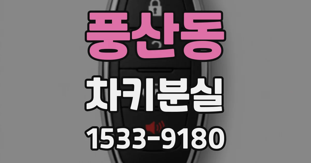 풍산동 차키분실