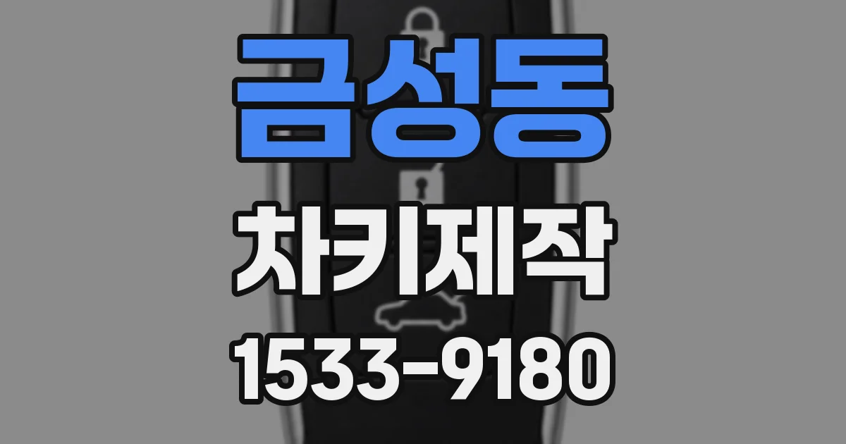 금성동 차키제작