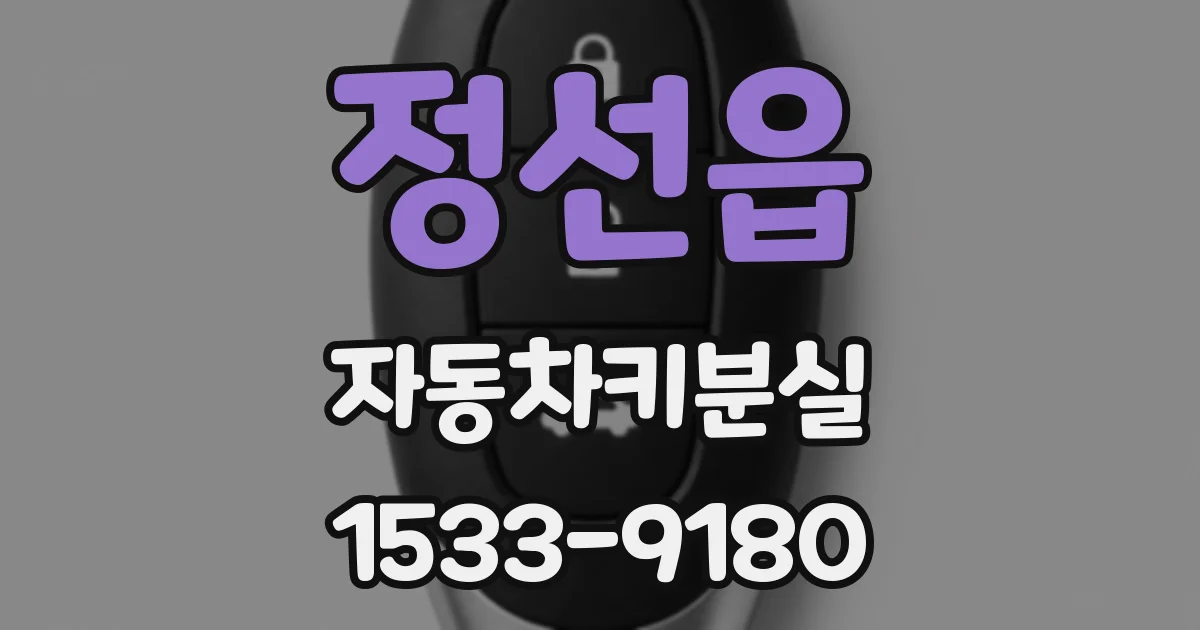 정선읍 자동차키분실