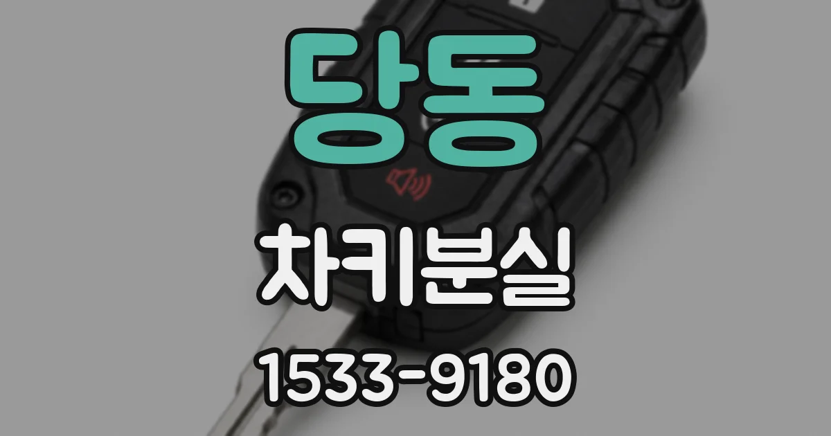 당동 차키분실