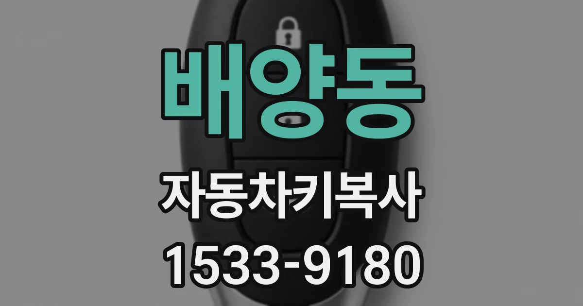 배양동 자동차키복사
