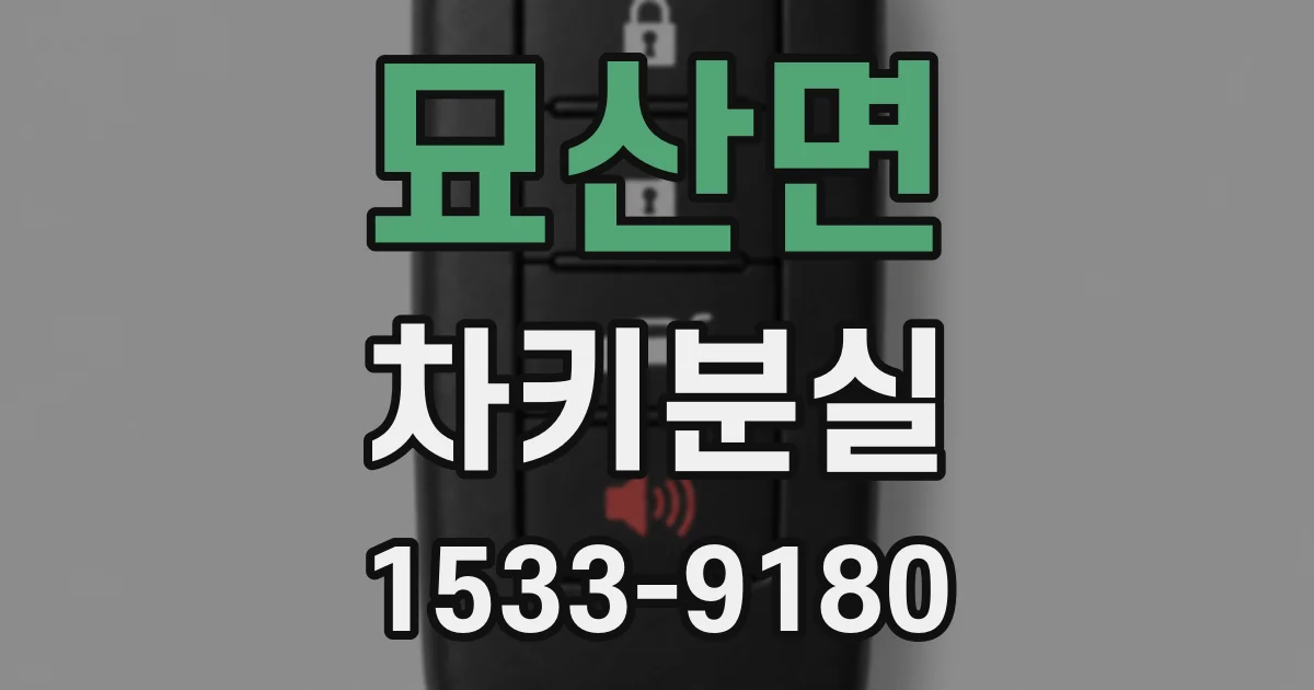 묘산면 차키분실