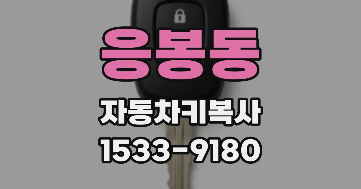 응봉동 자동차키복사