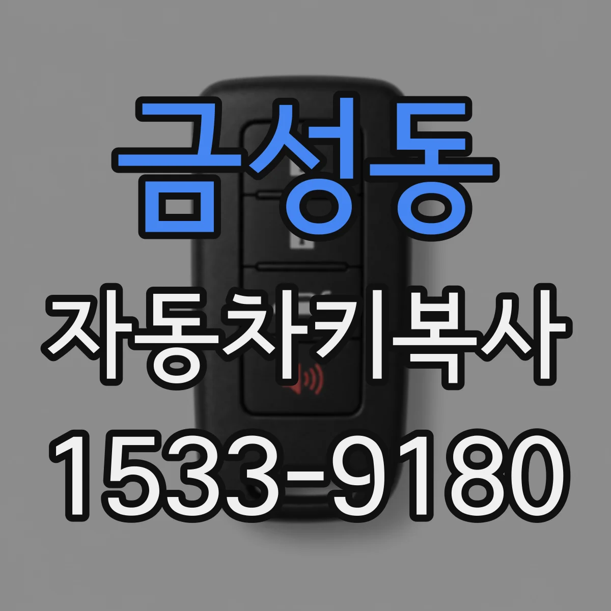 금성동 자동차키복사